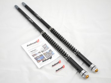 ANDREANI Cartridge für MOTO GUZZI V7 ab 2012 (Kaifa Gabel)